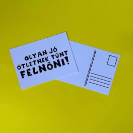 Olyan jó ötletnek tűnt felnőni! képeslap